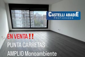 Venta  Montevideo Punta Carretas